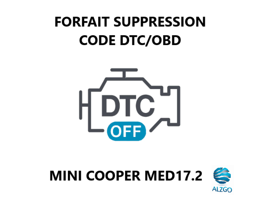 FORFAIT SUPPRESSION CODE DTC/OBD MINI COOPER MED17.2