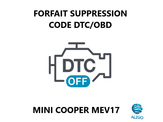 FORFAIT SUPPRESSION CODE DTC/OBD MINI COOPER MEV17