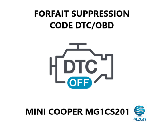 FORFAIT SUPPRESSION CODE DTC/OBD MINI COOPER MG1CS201