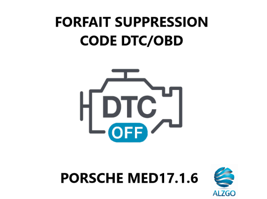 FORFAIT SUPPRESSION CODE DTC/OBD PORSCHE MED17.1.6