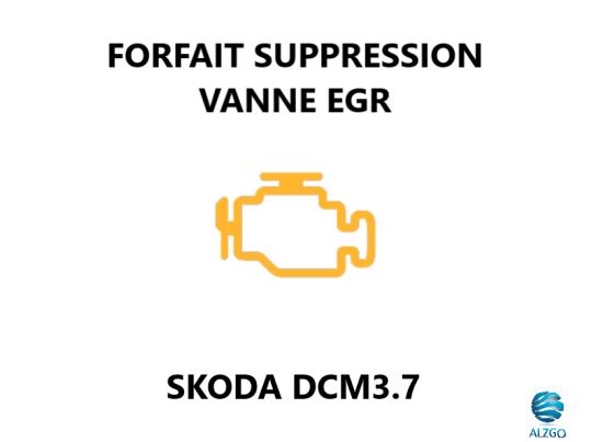 FORFAIT SUPPRESSION VANNE EGR SKODA DCM3.7