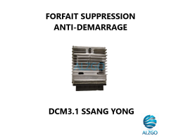 SUPPRESSION ANTI-DEMARRAGE DCM 3.1 SSANGYONG