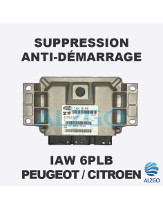 SUPPRESSION ANTI DEMARRAGE IAW 6LPB PEUGEOT / CITROEN