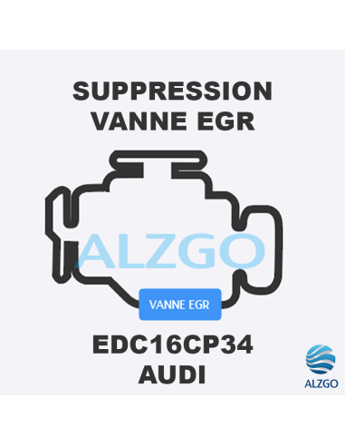 FORFAIT SUPPRESSION VANNE EGR AUDI EDC16CP34