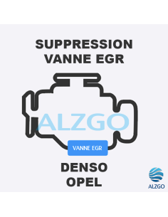 FORFAIT SUPPRESSION VANNE EGR OPEL DENSO