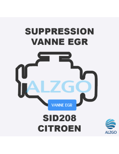 FORFAIT SUPPRESSION VANNE EGR CITROEN SID 208