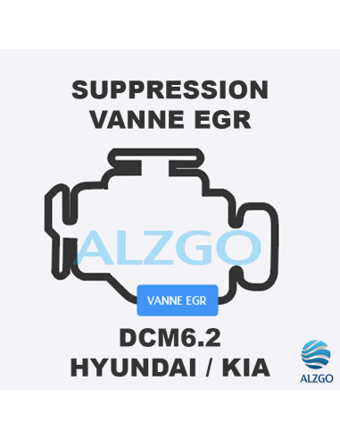 FORFAIT SUPPRESSION VANNE EGR HYUNDAI/KIA DCM6.2