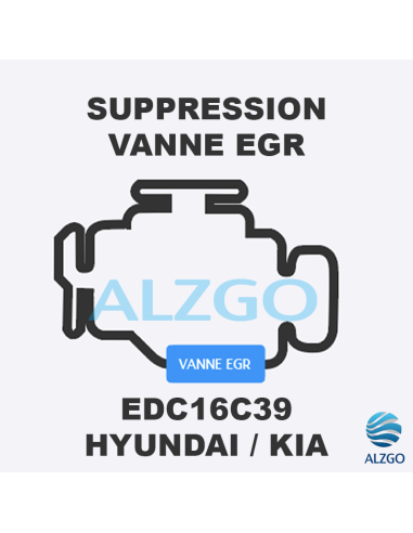 FORFAIT SUPPRESSION VANNE EGR HYUNDAI/KIA EDC16C39