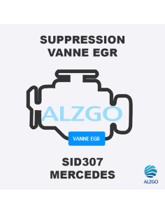 FORFAIT SUPPRESSION VANNE EGR MERCEDES SID 307