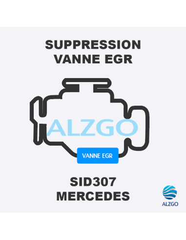 FORFAIT SUPPRESSION VANNE EGR MERCEDES SID 307