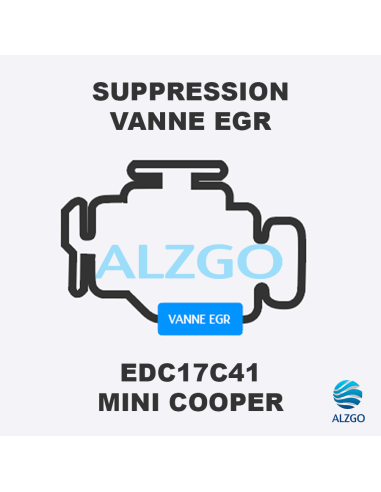 FORFAIT SUPPRESSION VANNE EGR MINI COOPER EDC17C41