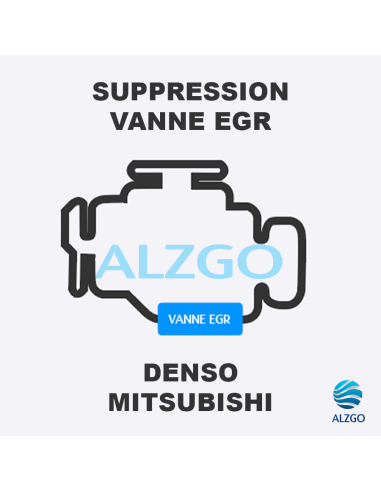 FORFAIT SUPPRESSION VANNE EGR MITSUBISHI DENSO
