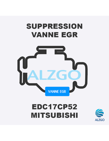 FORFAIT SUPPRESSION VANNE EGR MITSUBISHI EDC17CP52