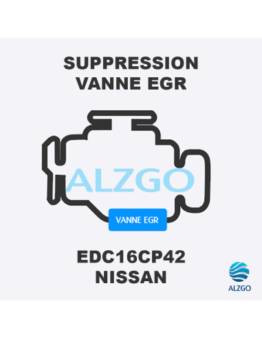 FORFAIT SUPPRESSION VANNE EGR NISSAN EDC16CP42