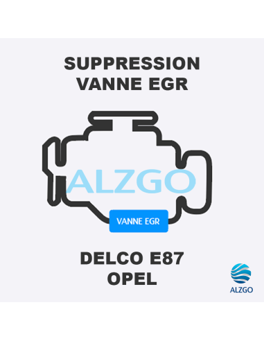 FORFAIT SUPPRESSION VANNE EGR OPEL DELCO E87