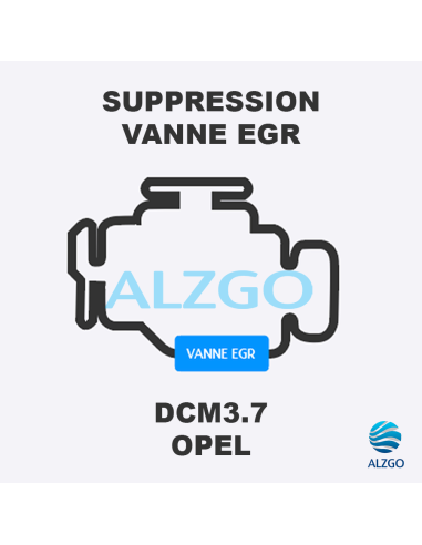 FORFAIT SUPPRESSION VANNE EGR OPEL DCM3.7