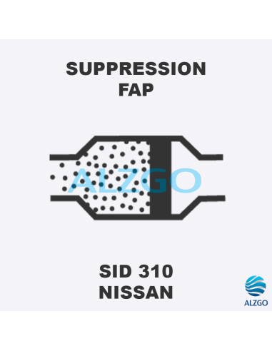 FORFAIT SUPPRESSION FAP NISSAN SID 310