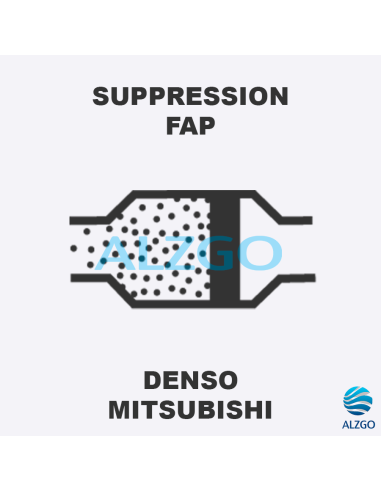 FORFAIT SUPPRESSION FAP MITSUBISHI DENSO