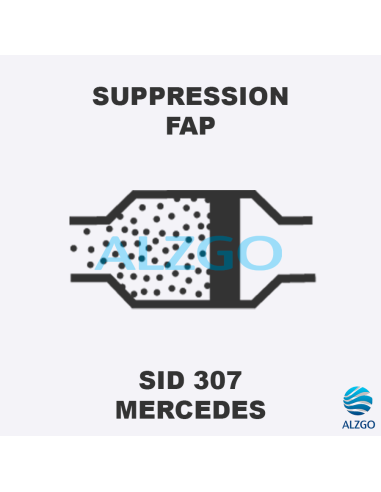 FORFAIT SUPPRESSION FAP MERCEDES SID 307