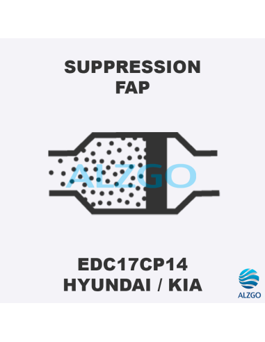 FORFAIT SUPPRESSION FAP HYUNDAI/KIA EDC17CP14