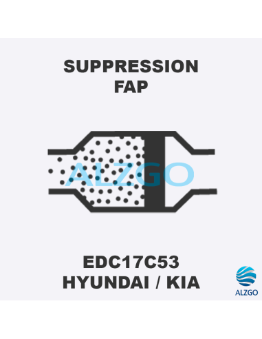 FORFAIT SUPPRESSION FAP HYUNDAI/KIA EDC17C53