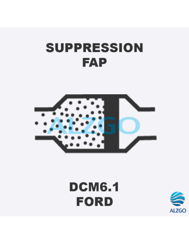 FORFAIT SUPPRESSION FAP FORD DCM6.1