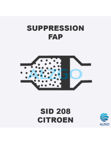 FORFAIT SUPPRESSION FAP CITROEN SID 208