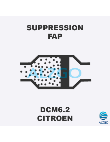 FORFAIT SUPPRESSION FAP CITROEN DCM6.2