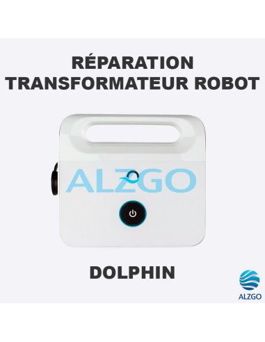 REPARATION TRANSFORMATEUR POUR ROBOT DOLPHIN