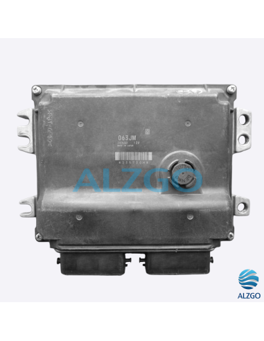 CALCULATEUR SUZUKI REF: 33920-63JM