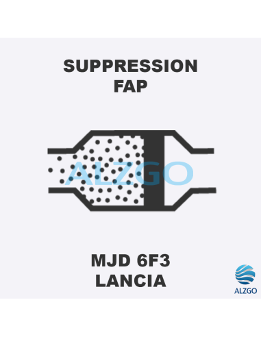 FORFAIT SUPPRESSION FAP LANCIA MJD 6F3
