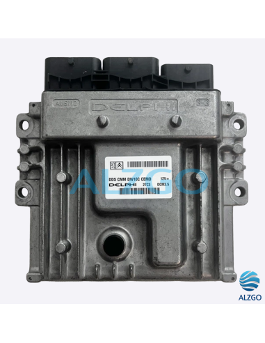 CALCULATEUR PEUGEOT / CITROEN DCM3.5...