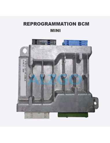 REPROGRAMMATION BCM MINI