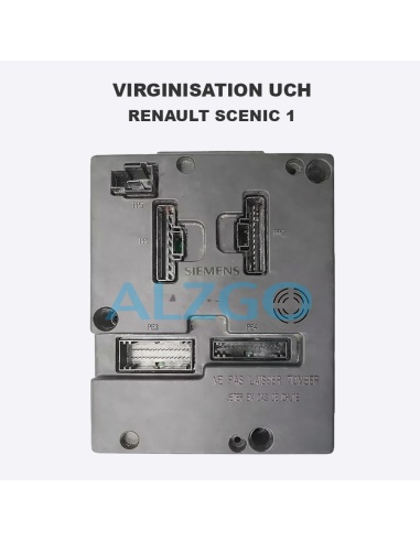 VIRGINISATION UCH RENAULT SCENIC 1