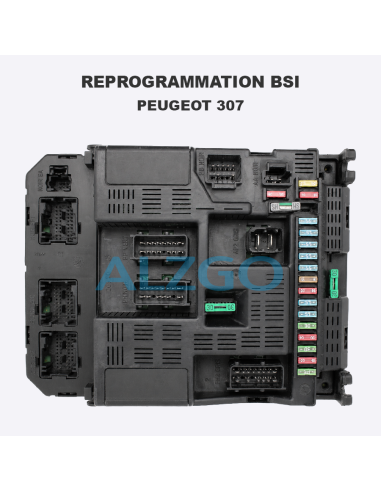 REPROGRAMMATION BSI PEUGEOT 307