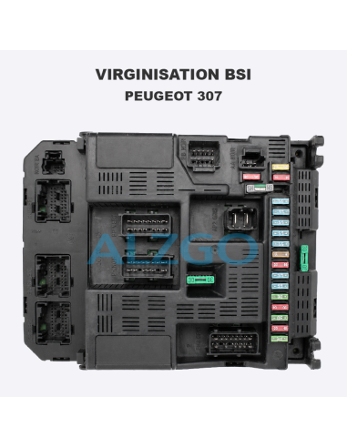 VIRGINISATION BSI PEUGEOT 307