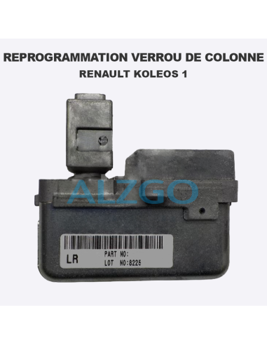 REPROGRAMMATION VERROU DE COLONNE...