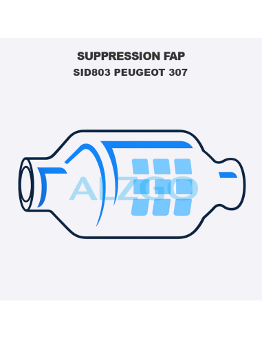 SUPPRESSION FAP SID803 PEUGEOT 307