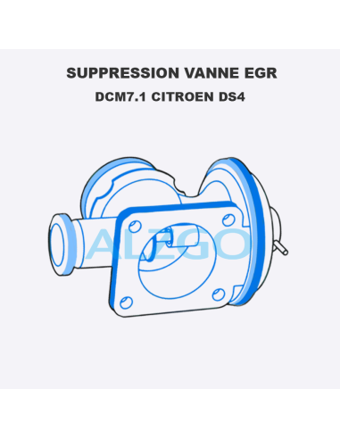 SUPPRESSION VANNE EGR DCM7.1 CITROEN DS4