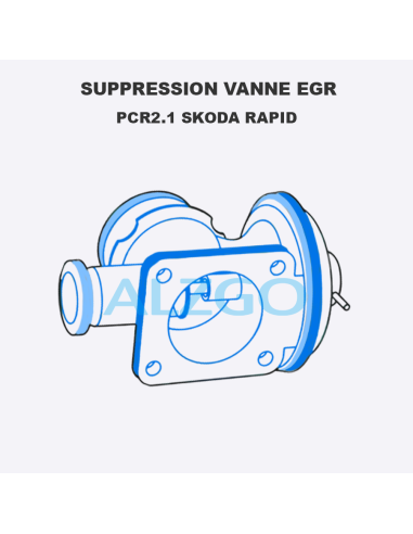 SUPPRESSION VANNE EGR PCR2.1 SKODA RAPID