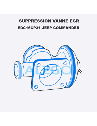 SUPPRESSION VANNE EGR EDC16CP31 JEEP...