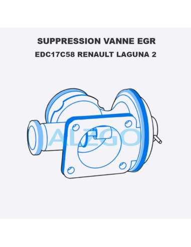 SUPPRESSION VANNE EGR EDC17C58...