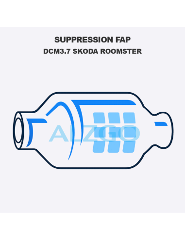 SUPPRESSION FAP DCM3.7 SKODA ROOMSTER