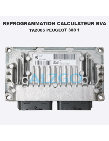 REPROGRAMMATION CALCULATEUR BVA...