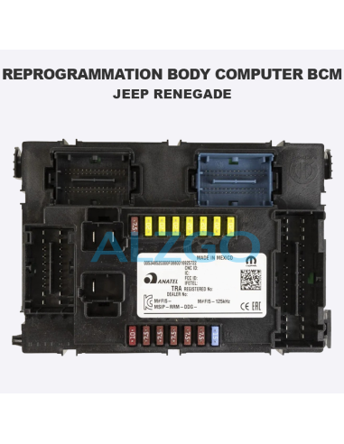 REPROGRAMMATION BODY COMPUTER BCM...
