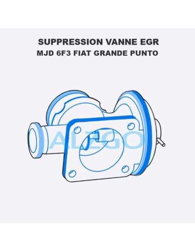 SUPPRESSION VANNE EGR MJD 6F3 FIAT...