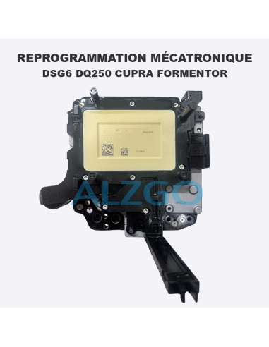 REPROGRAMMATION MECATRONIQUE DSG6...