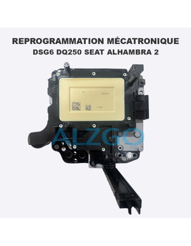 REPROGRAMMATION MECATRONIQUE DSG6...