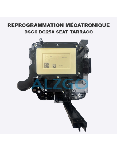 REPROGRAMMATION MECATRONIQUE DSG6...
