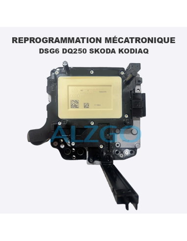 REPROGRAMMATION MECATRONIQUE DSG6...